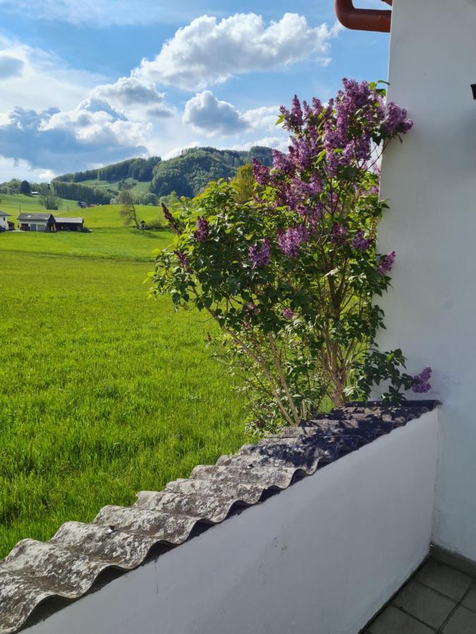 Traunsteinblick Holiday home *